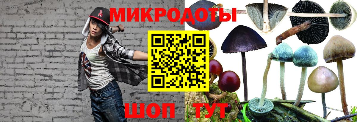 Галлюциногенные грибы MAGIC MUSHROOMS Дедовск