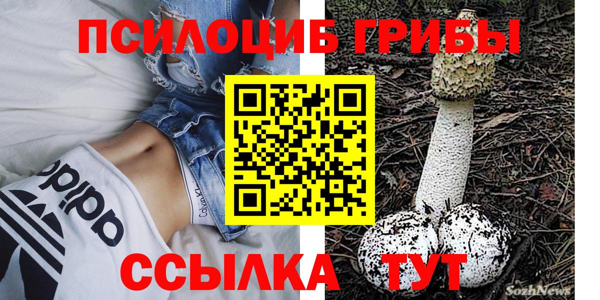 Дедовск  Псилоцибиновые грибы Psilocybe  где можно купить   Вход с VPN 